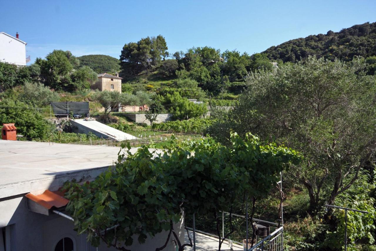 Family Friendly Apartments With A Swimming Pool Supetarska Draga - Donja, Rab - 2019 Extérieur photo